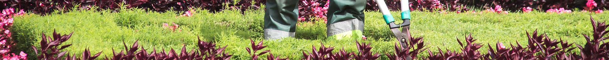 Snoei- en onderhoudswerken in een Limburgse tuin