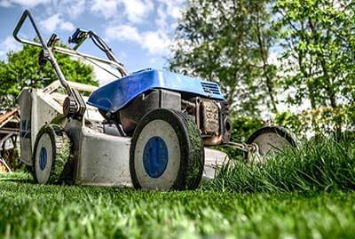 Verzorgd gazon met grijze stapstenen en lavendel